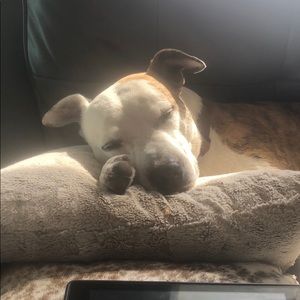 Meet your Posher, Marcy